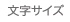 文字サイズ