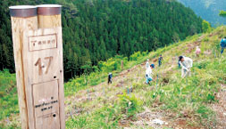 県立高丸山千年の森づくり